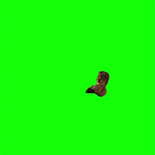 Lobo Feroz - Queeee meme - Green Screen