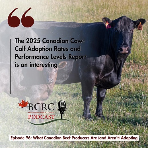 2.1K views | New insights from the BCRC's latest report on management...