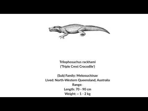 Speculative Miocene Sounds