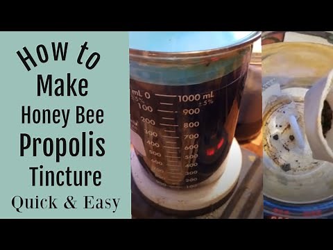 How to Make a Bee Propolis Tincture Quick and Easy