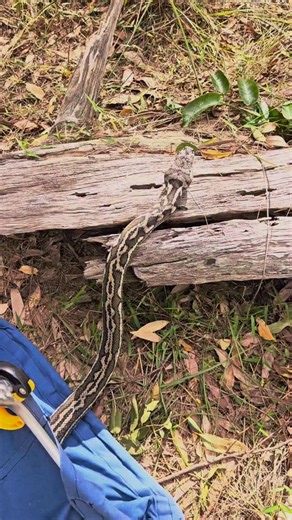 5.6K views · 892 reactions | Enjoy your new home beautiful 殺  How...