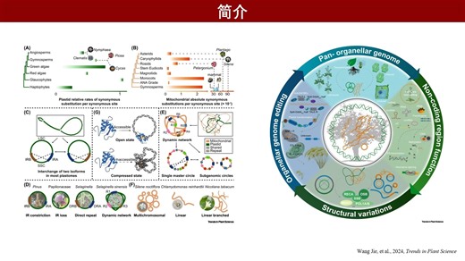 iMeta | 尹佟明组和汪阳东组-开发用于细胞器基因组的高效图形化组装工具包