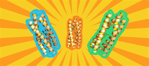 Researchers pioneer method to rapidly design proteins