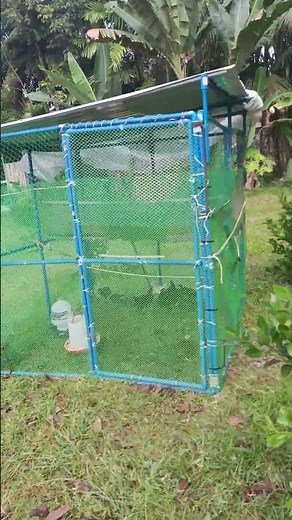 backyard integrated farming philippines