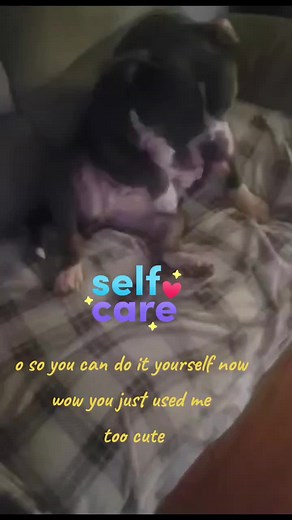 Jessica Green (@jessicagreen052)’s videos with original sound - Jessica Green