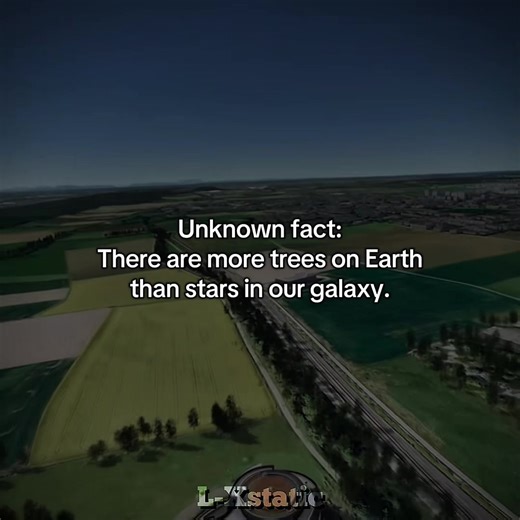 More Trees Than Stars: Earth's Astonishing Fact