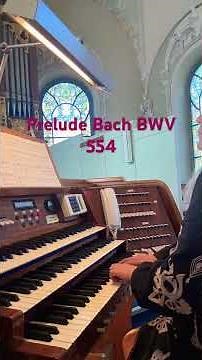 J.S. Bach Präludium d-Moll BWV 554 Goll Frey Orgel Kirche Widnau St. Gallen Schweiz Shorts #vlog