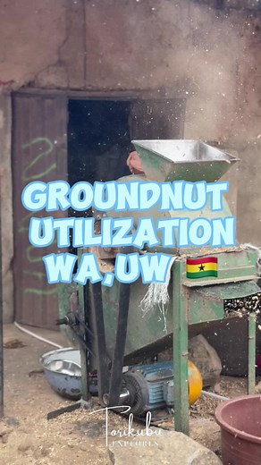 Discover the Full Utilization of Groundnut in Upper West Region of Ghana