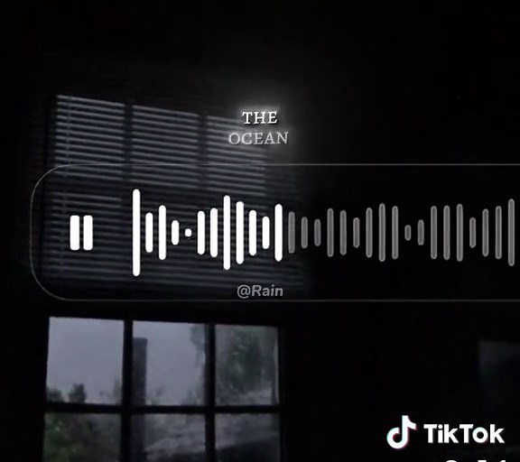 Sunrise >>> #sunrise #zackknight #coversong #fyp #lyrics