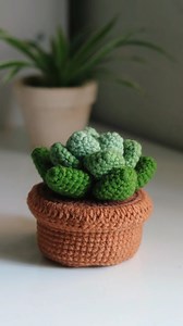 Making a succulent pot 🪴 #crochet #crocheters #crocheting #crochetsucculent #succulent #succulentlover #handmade #crochetplant #plant #pot #plantpot #crochetpot | Crochet Nature