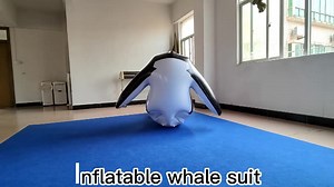 Customized Inflatable PVC Whale Suit for Advertising