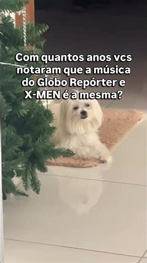 Cada dia uma novidade. #pets #cachorro #dogs #cachorros #globo #xmen #dog #maltes #maltese #xmen97
