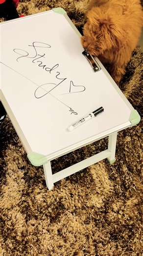 Minimalist Multipurpose Study Table Unboxing | Study • Work • Create