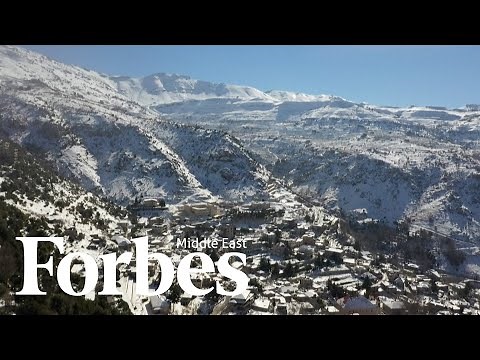 Snow Covers The Cedars Of Lebanon