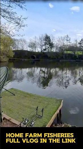 Home farm fisheries catfish vlog 🎣🐋