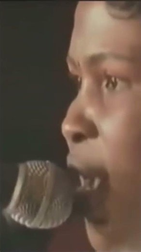 Viva la musica des années 90´ des chanteurs de qualité