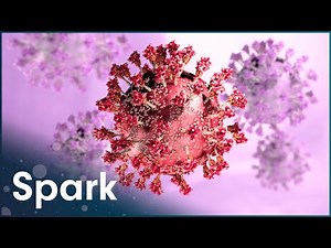 Why Are Antibiotics And Vaccines Failing Us? [4K] | The Battle Against Superbugs | Spark