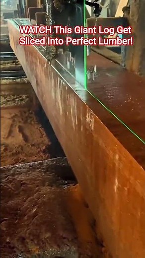 WATCH This Giant Log Get Sliced Into Perfect Lumber#woodworking#sawmill#wood#logging