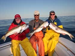 Tilefish Fishing Hudson Canyon, NY