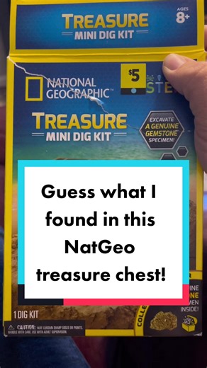Exploring National Geographic's Mini Dig Kit for $5
