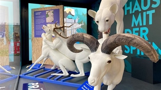 Leipzig: Diese 5 Museen kosten keinen Eintritt