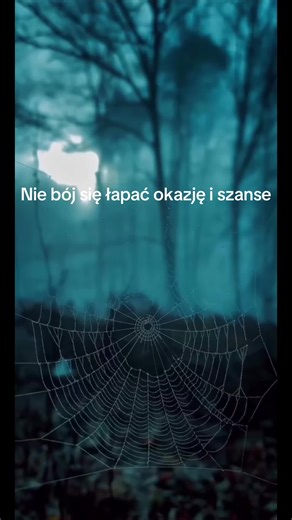 Motywacja zaczyna się tam, gdzie kończą się wymówki. #motivation #gym #discipline #mentalstrength #fyp