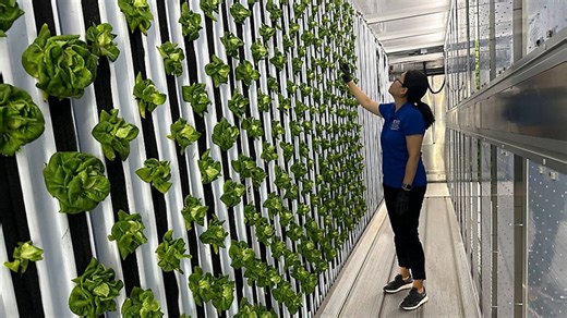 Shipping container farm in Citra feeds University of Florida campus community