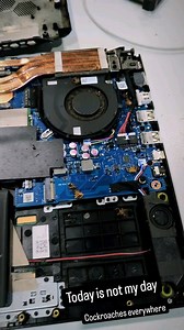 Infested with cockroaches | iFix Electronics Erina