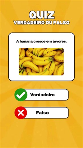 Chegou a hora de testar seus conhecimentos! Quiz de Verdadeiro ou Falso |Conhecimentos Gerais