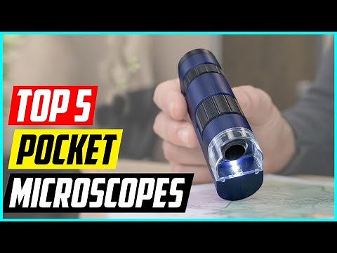 5 Best Pocket Microscopes for 2025