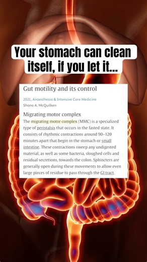 Your stomach can clean itself, if you let it…