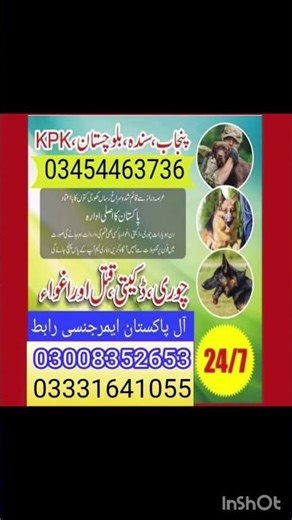 army dog centre Multan