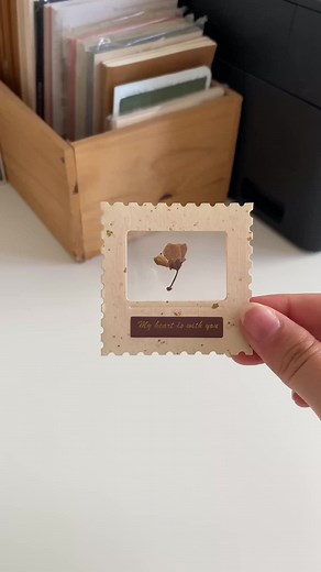 Dried Flower Framing Kits for Preserving Memories