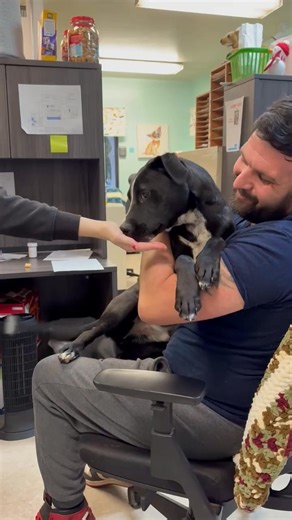 Meet the next official longest current resident of The City of Mobile Animal Services, Kenny. Kenny came in as a new born puppy 7 months ago and has spent all but 2 weeks of his life in a cement kennel. He was proposed for every rescue transport but there was no room and we are desperate to find him a home. Kennel is highly socialized with other dogs, people and does great with cats. He is only 7 and 1/2 months old and 33lbs. This puppy needs to know the love of a family before he gets any older