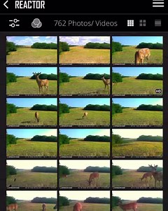 2.6K views · 25 reactions | Videos sent straight to your phone! In video mode, the cameras will send you a GIF preview of 3 images. By sending a GIF preview, it allows users to save on data, but still have the option to download the full HD video. | Stealth Cam | Facebook