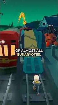 Photosynthesis vs Cellular Respiration | Foundations of AP Bio