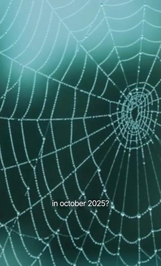 The World’s Largest Spider Web Had 110,000 Spiders! 😳🕷️