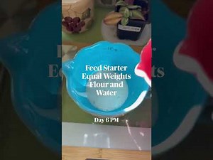 Starting a Sourdough Starter at High-Altitude. Baking at 10,000 feet.