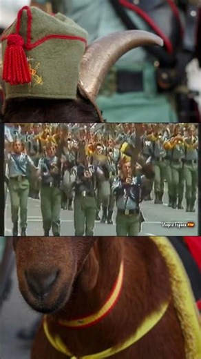 🇪🇸 Goosebumps! The LEGION marches to the rhythm of "Hay un color..." 🐐