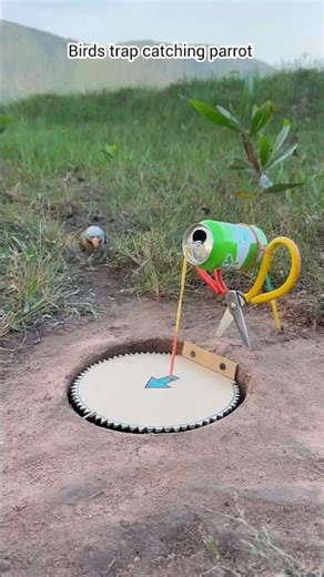 birds trap catching parrot #birds