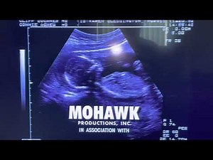 Jobsite Productions/Mohawk Productions/Warner Bros Television(2001) Logo
