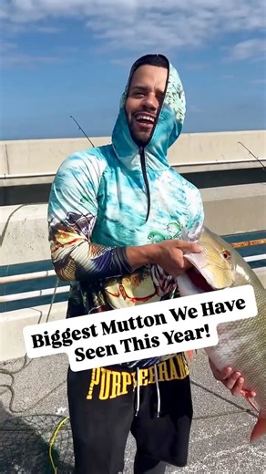 Stud of a Mutton Snapper From The Piers! You don't have to be a professional fisherman like @todo.sobrepesca (big congrats on 100k followers today) to catch dinosaur mutton snapper. As this fisherman says: All you have to do it watch what others show and copy their techniques and put the time in. My translation skills are a bit rusty so hopefully I am pretty close for all the english speakers out there! I'm sure th pier crew can do a better job of translating! | FishingPiers.Info