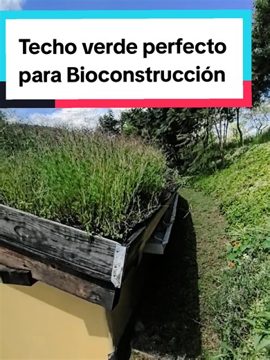 Techo Verde Perfecto para Bioconstrucción