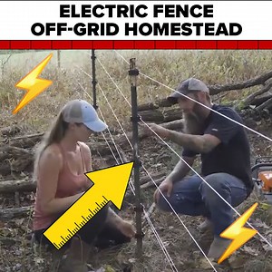 1.2M views · 3.3K reactions | SECURING THE PERIMETER ⚡ | Wild Wonderful Off-Grid | Facebook