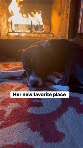 Cagney and I are enjoying the fire! I woke up to windchill of 7. Now don’t come for me all my northern friends 🤪😜 that’s extreme here. | Leah Long