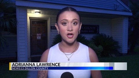 Dillon County hands control of troubled animal shelter to sheriff’s office