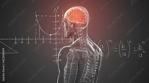 Animation of mathematical equations floating over spinning human body model with brain