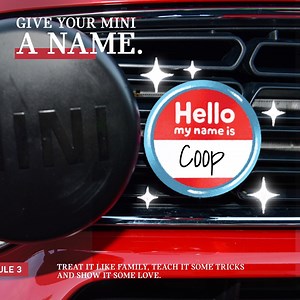 Car names are cute, MINI names are crucial. What did you name your MINI? Tell us in our Stories! #MINIRulesOfTheRoad | MINI