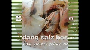 161K views · 1.7K reactions | Butter Prawn is a relatively new...