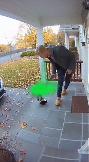 “Funny Skunk Spray Moment 😂 #Shorts #animalattack